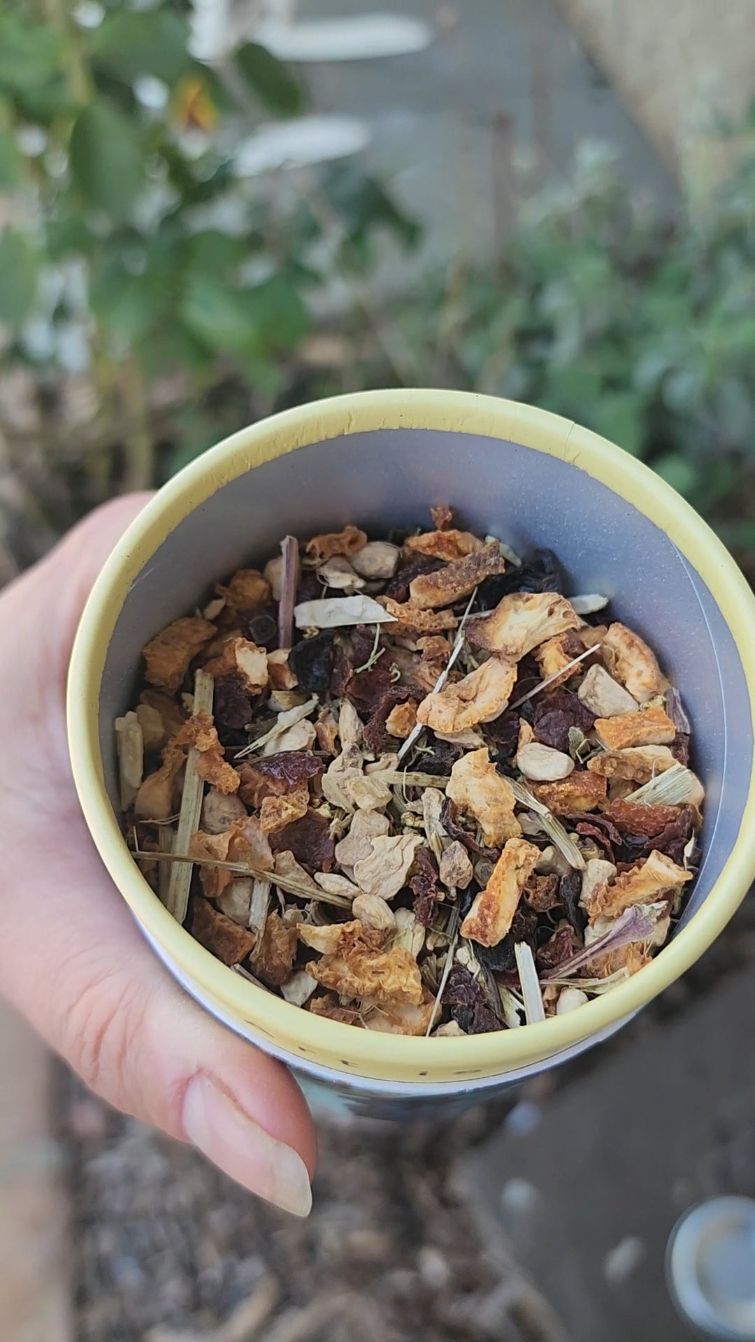 Immuni-Tea